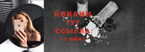 амф Ельня