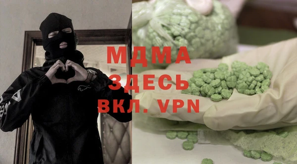 амф Ельня