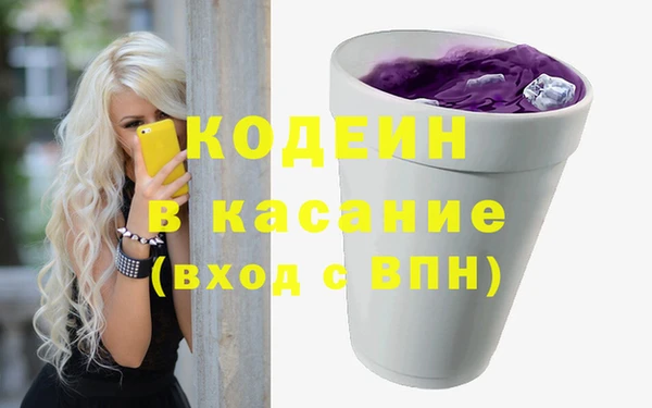 амф Ельня