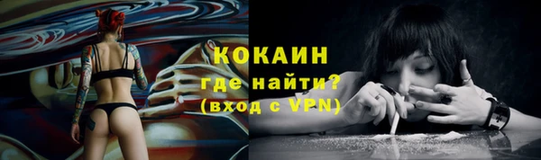 амф Ельня
