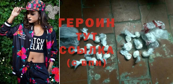амф Ельня
