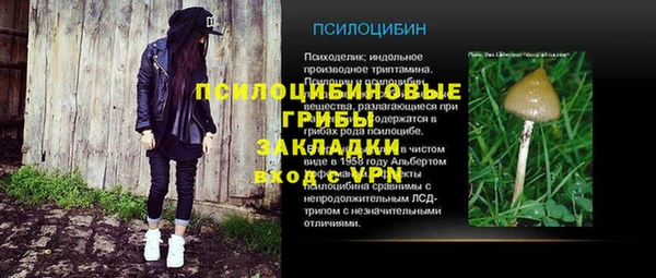 гашиш Галич