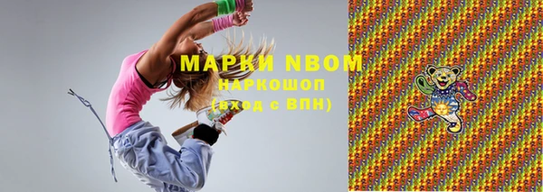 амф Ельня