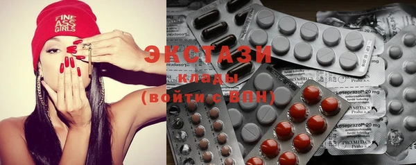 амф Ельня