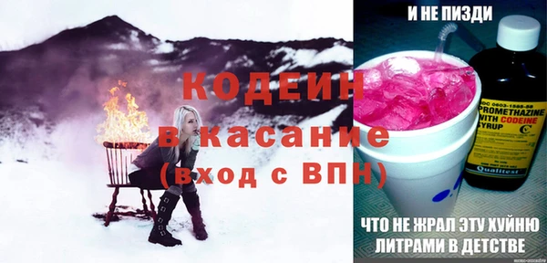 амф Ельня