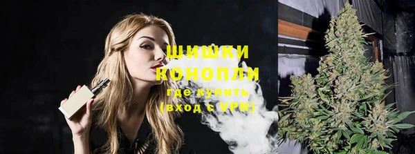 амф Ельня