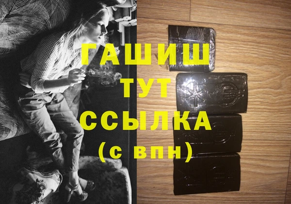 амф Ельня
